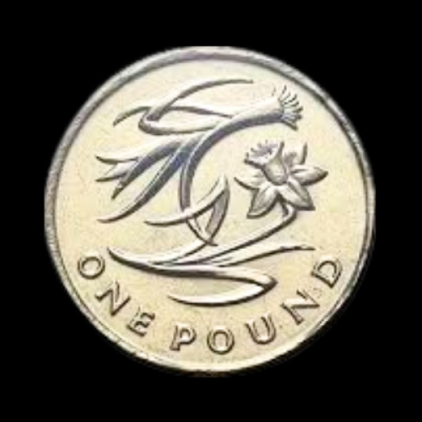 One Pound Coin (UK) - 2013