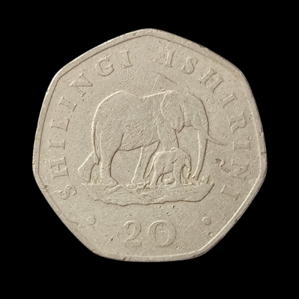 20 Shilling Coin Tanzania 1991