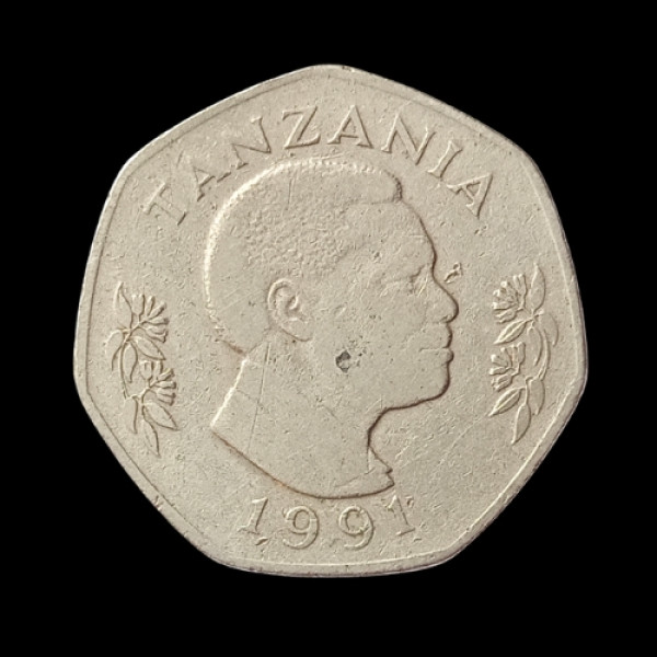 20 Shilling Coin Tanzania 1991